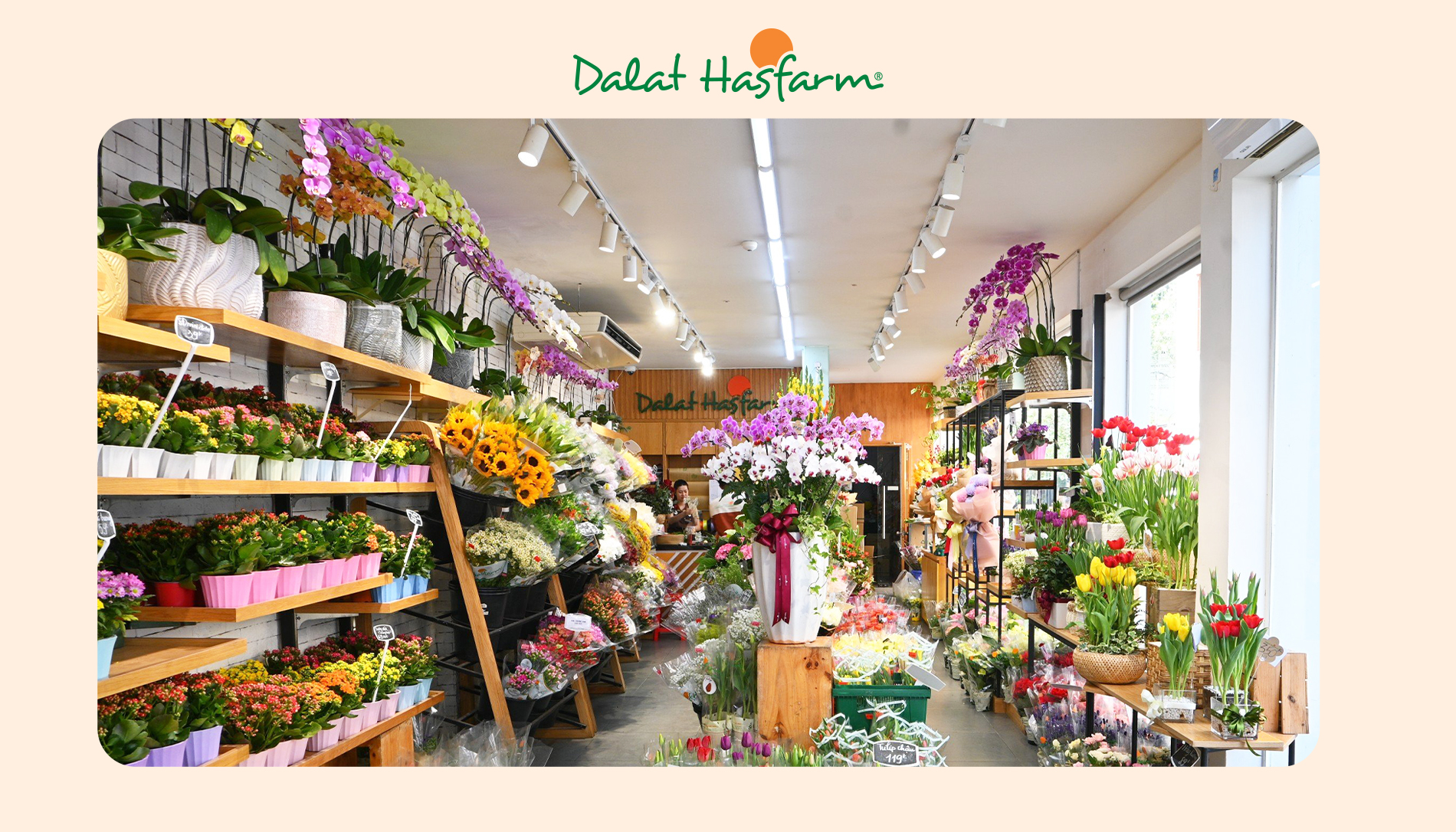 Shop hoa tươi Dalat Hasfarm Hai Bà Trưng Quận 3
