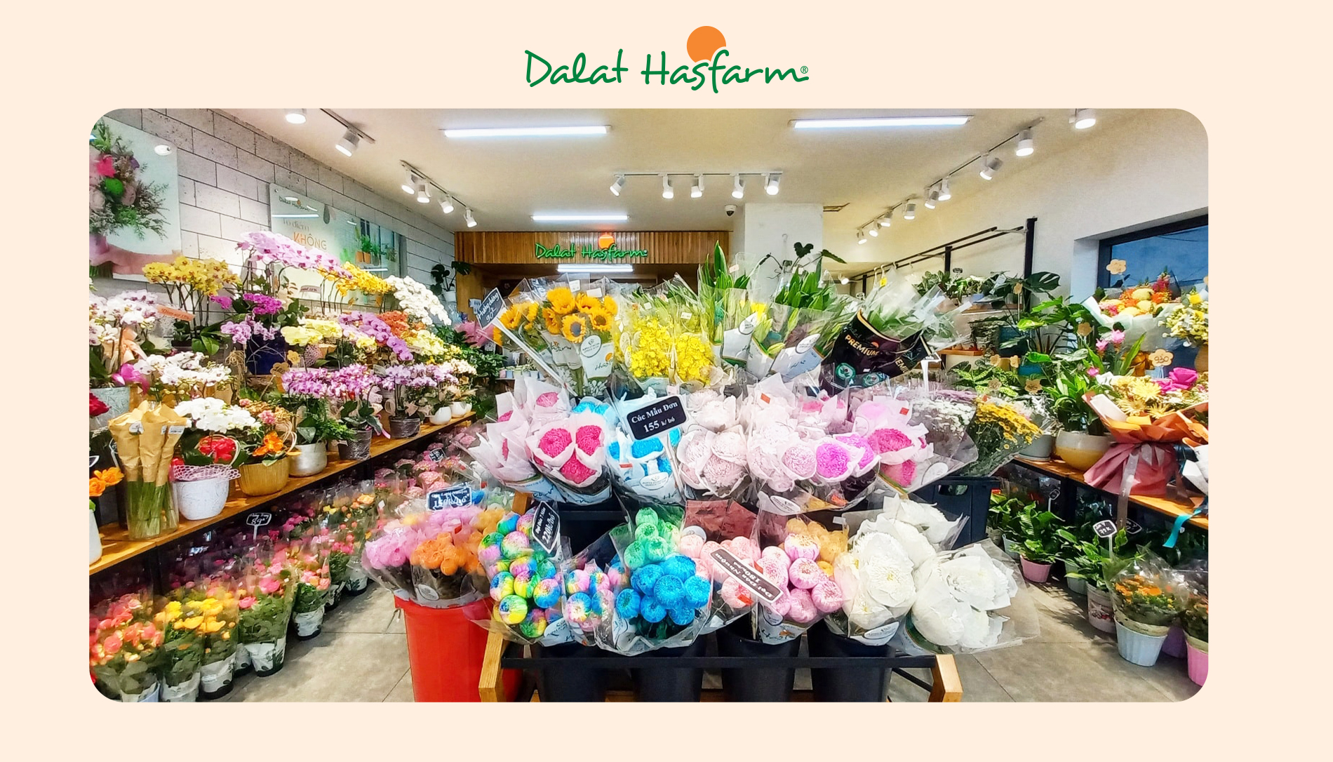 Shop hoa tươi Dalat Hasfarm Quận 11