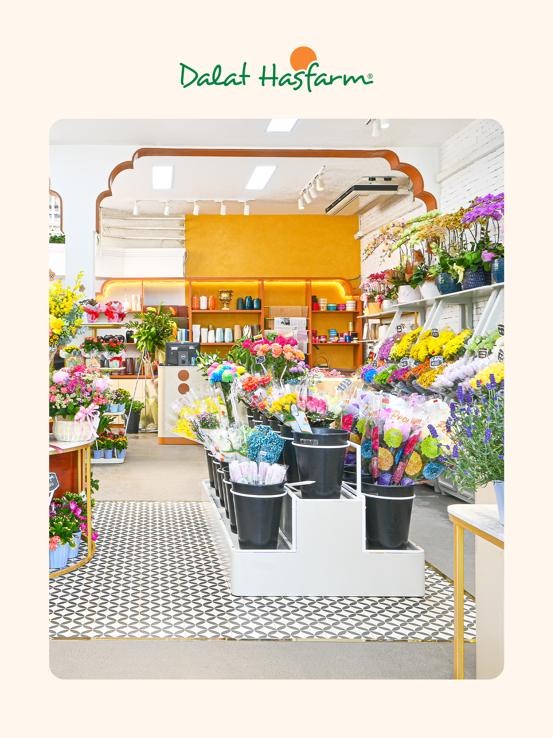 Shop hoa tươi Dalat Hasfarm Bình Dương_Mobile