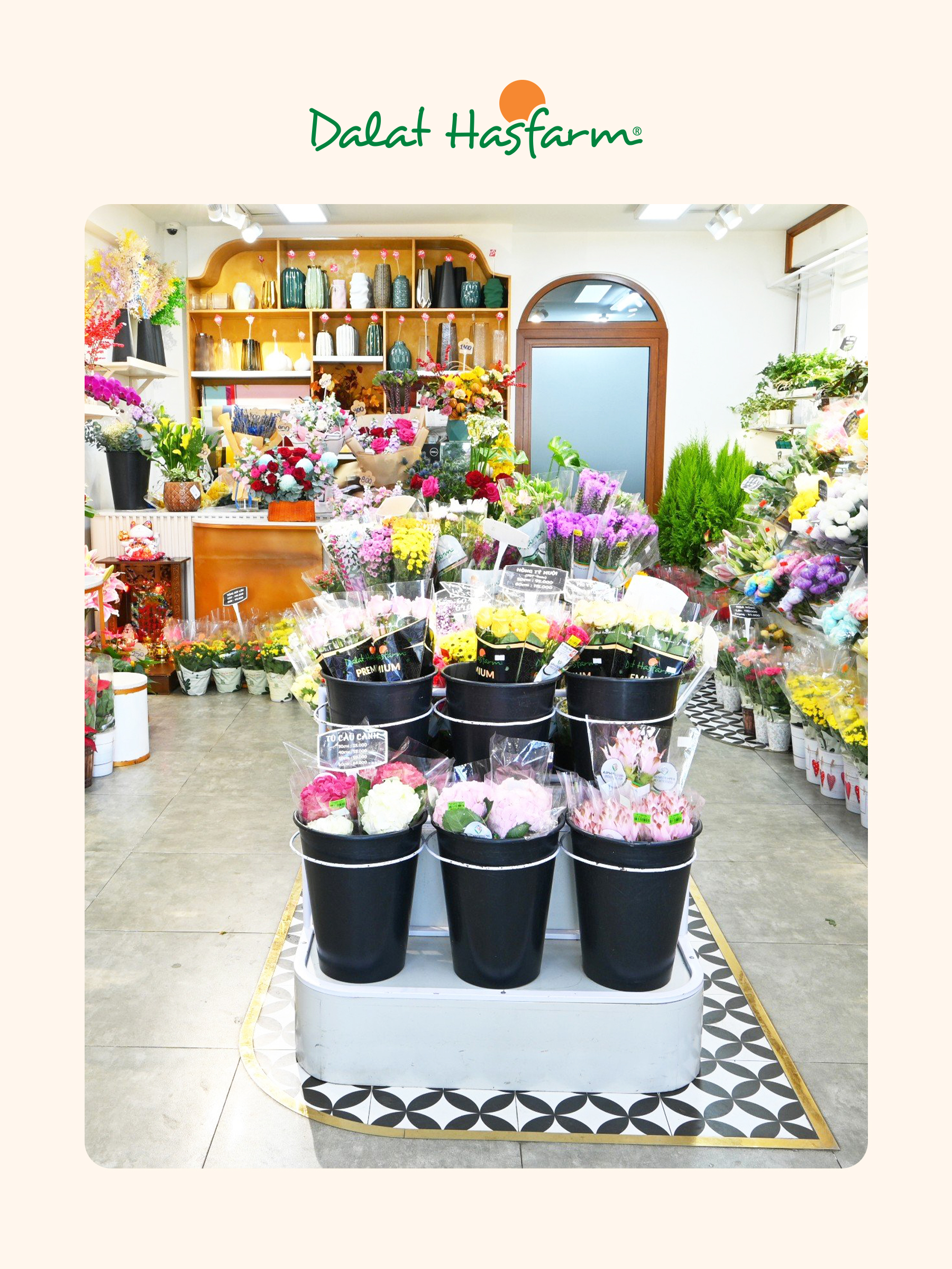 Shop hoa tươi Dalat Hasfarm Bình Tân_Mobile BT