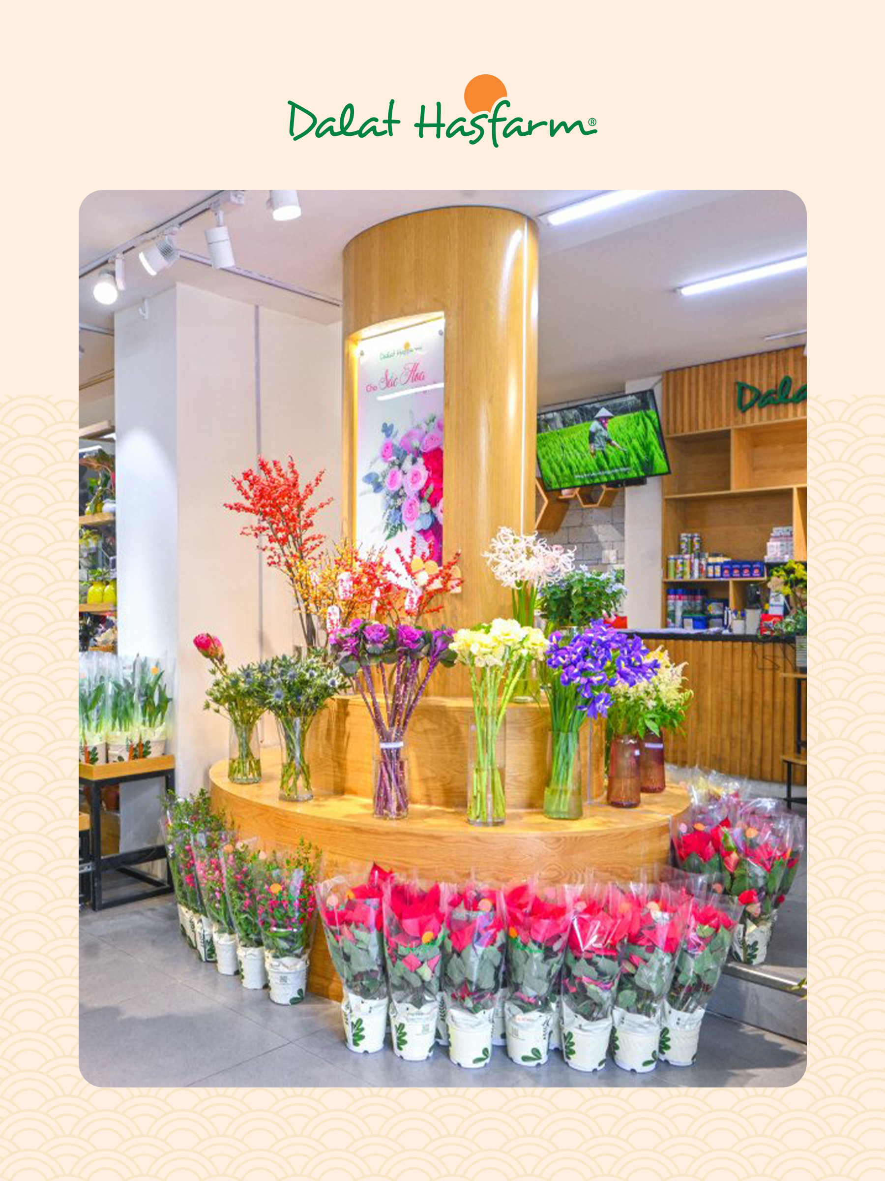 Shop hoa tươi Dalat Hasfarm Quận 2_Mobile