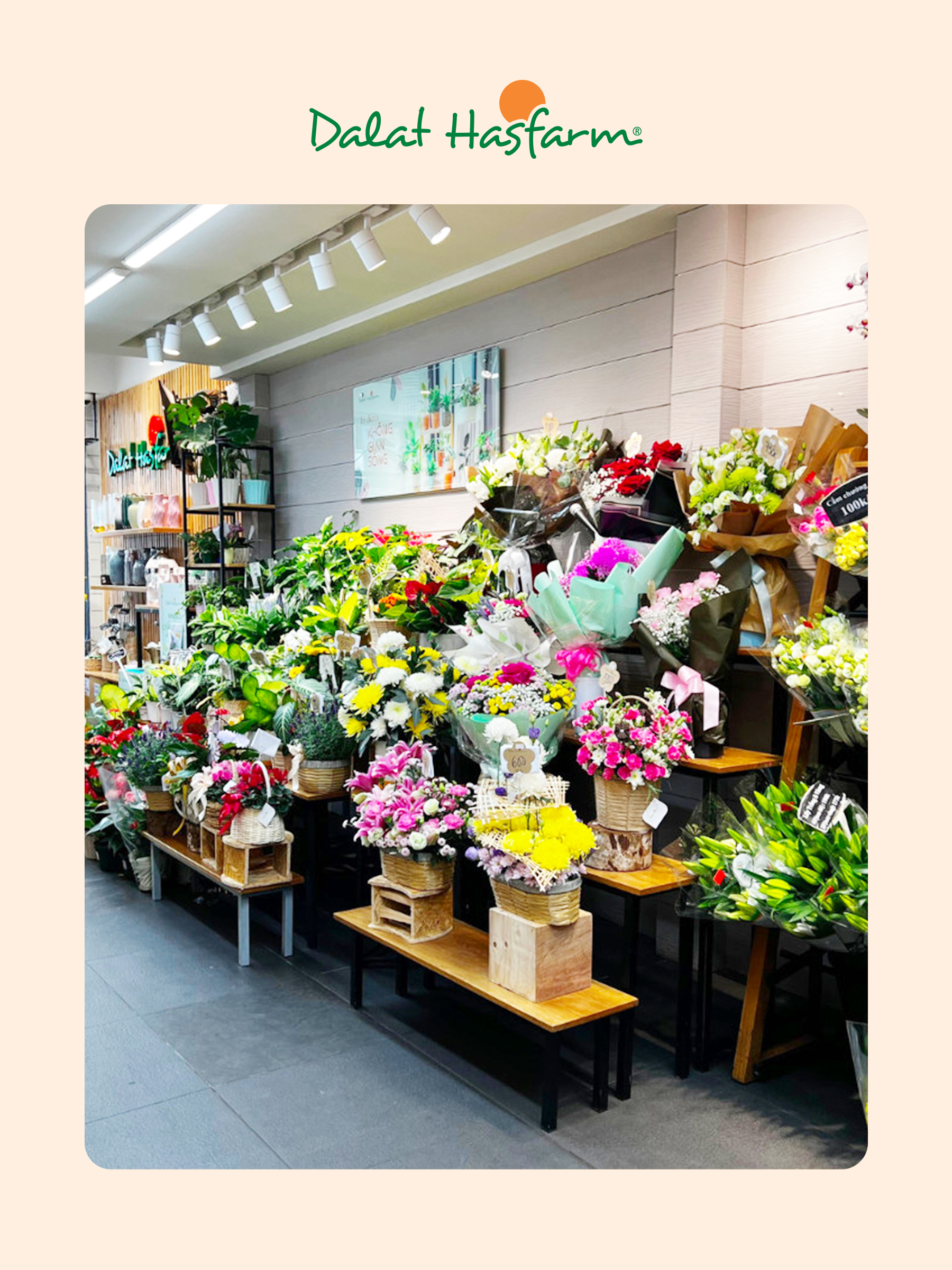 Shop hoa tươi Dalat Hasfarm Quận 6_Mobile
