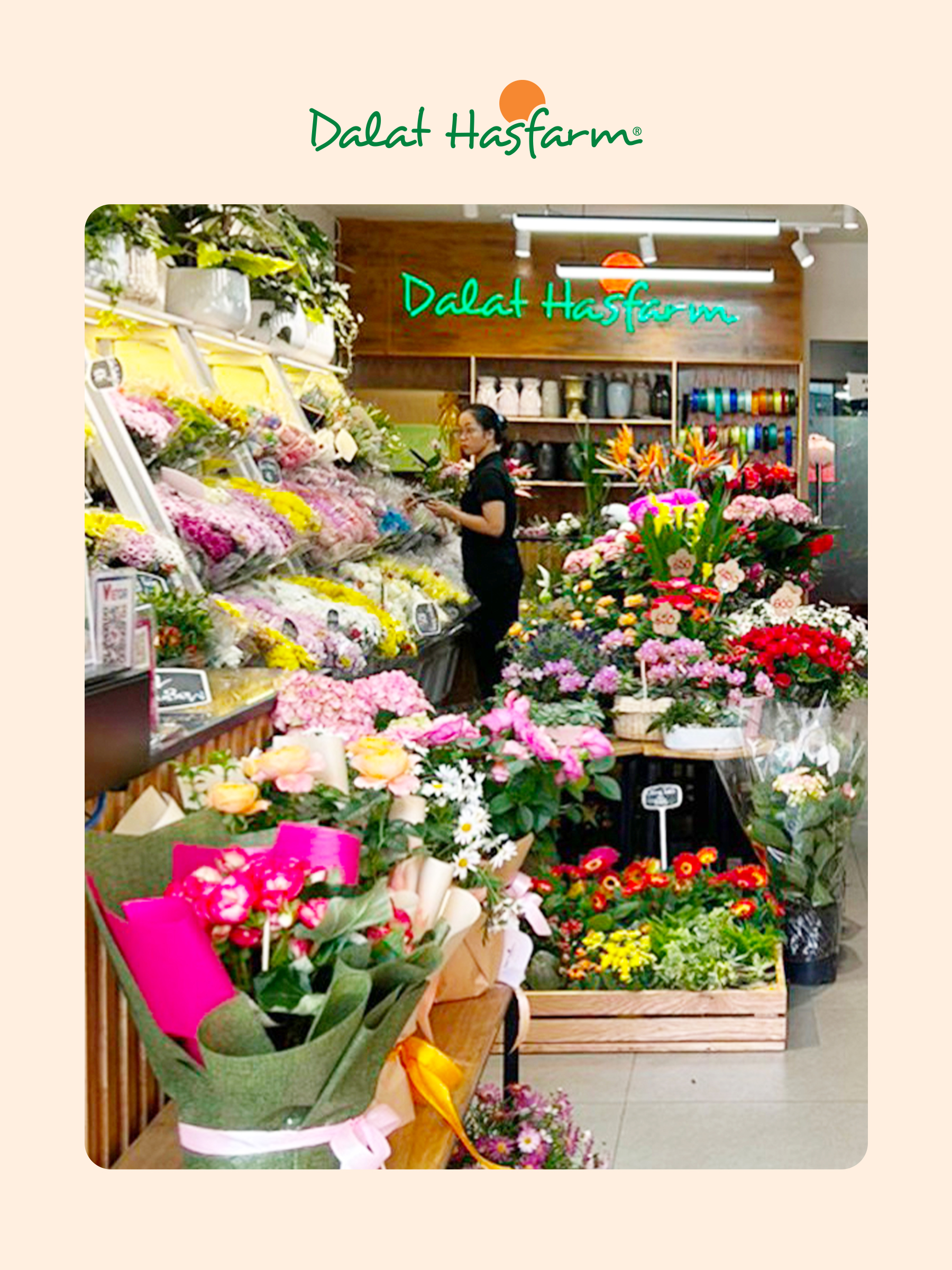 Shop hoa tươi Dalat Hasfarm Đà Nẵng_Mobile