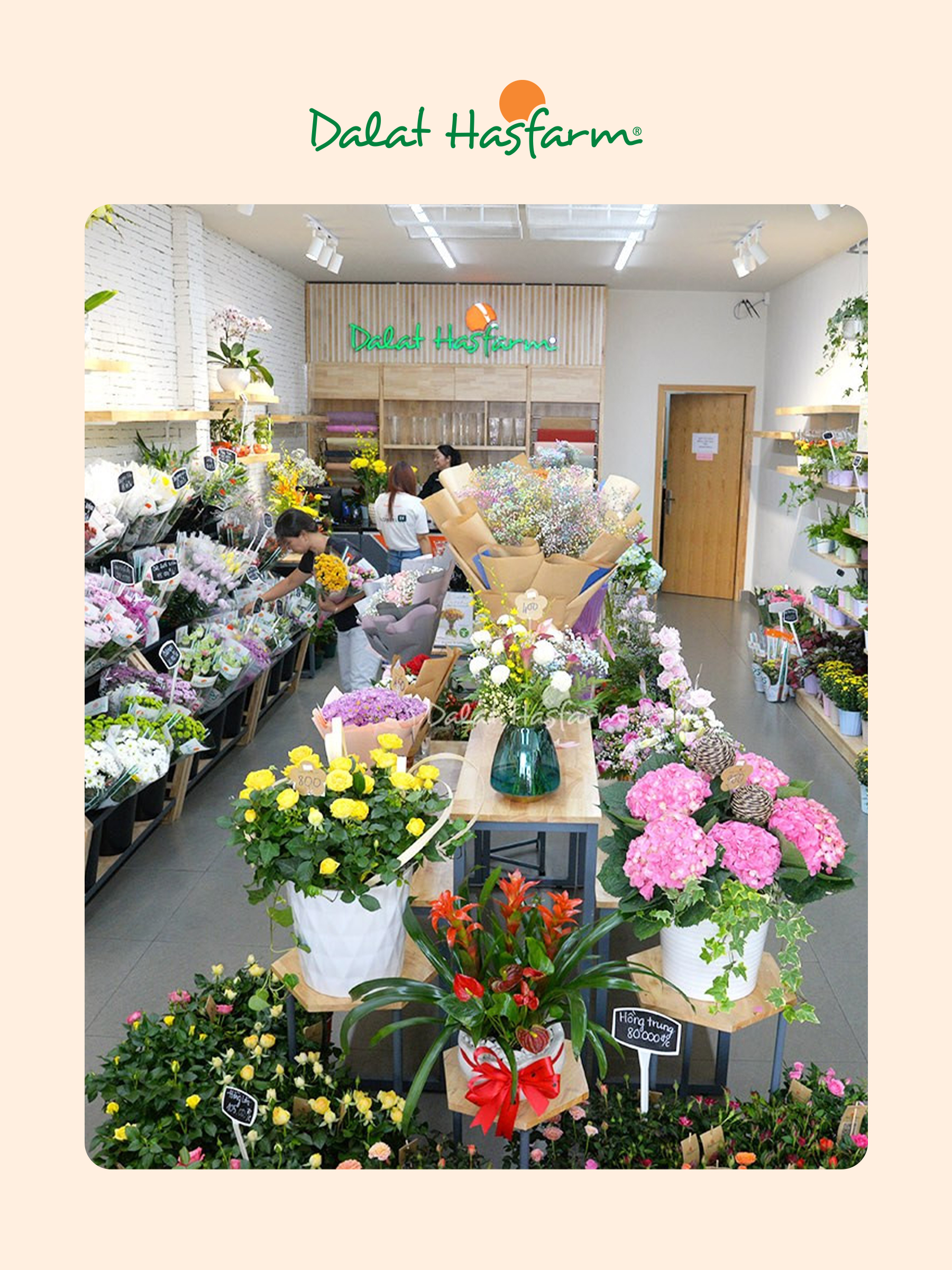 Shop hoa tươi Dalat Hasfarm Gò Vấp _ Mobile
