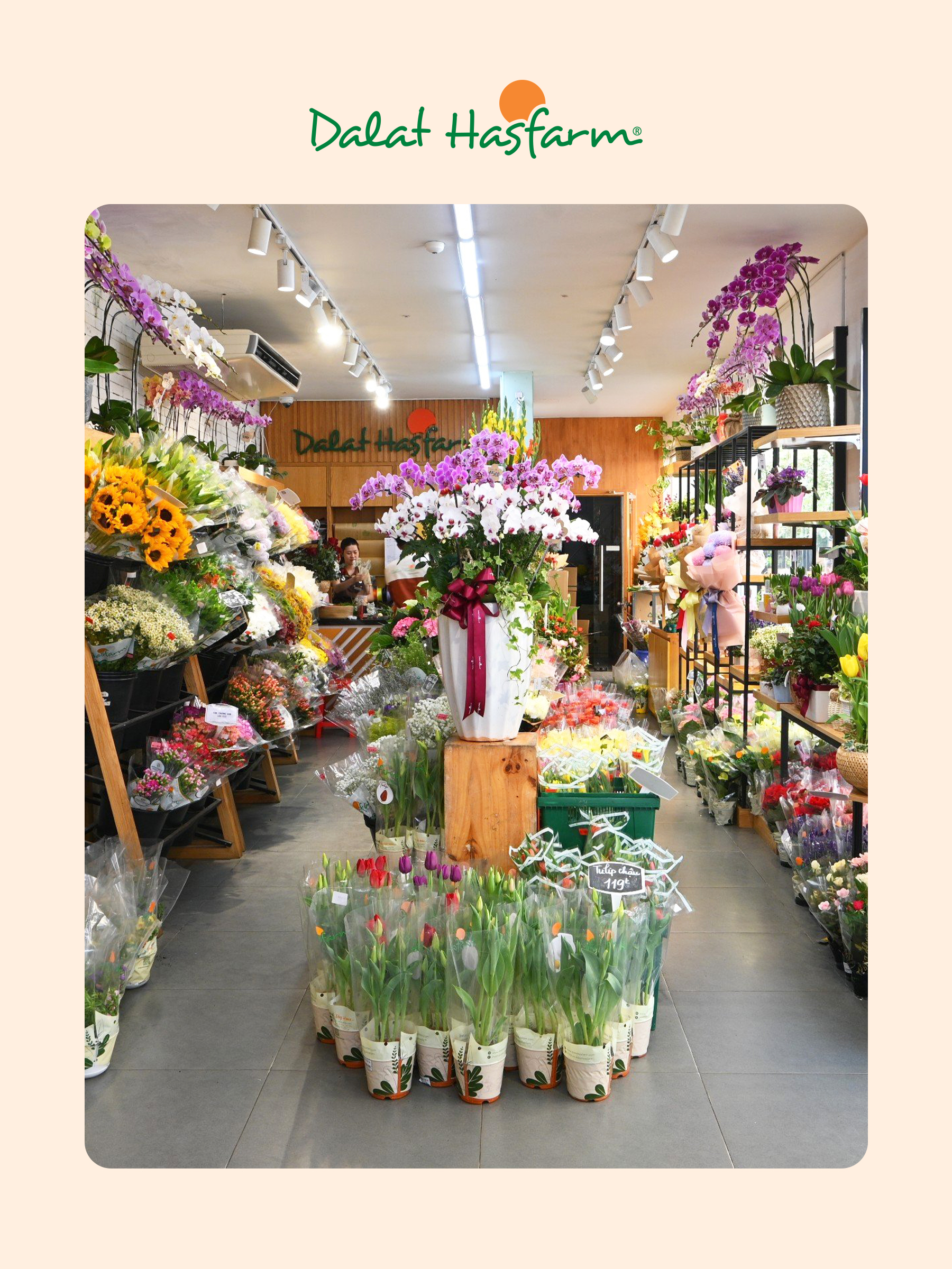 Shop hoa tươi Dalat Hasfarm Quận 3_Mobile HBT