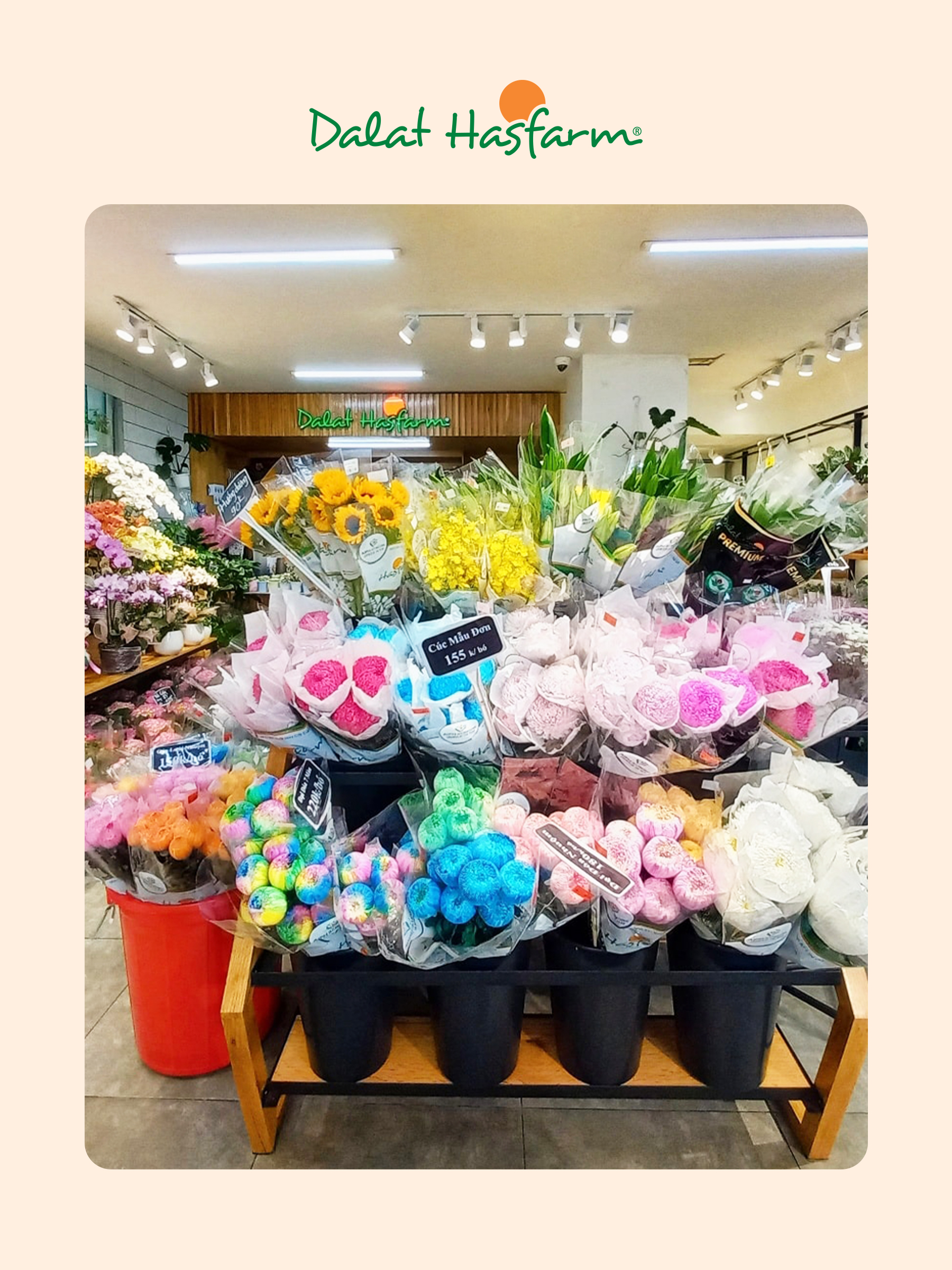 Shop hoa tươi Dalat Hasfarm Quận 11_Mobile