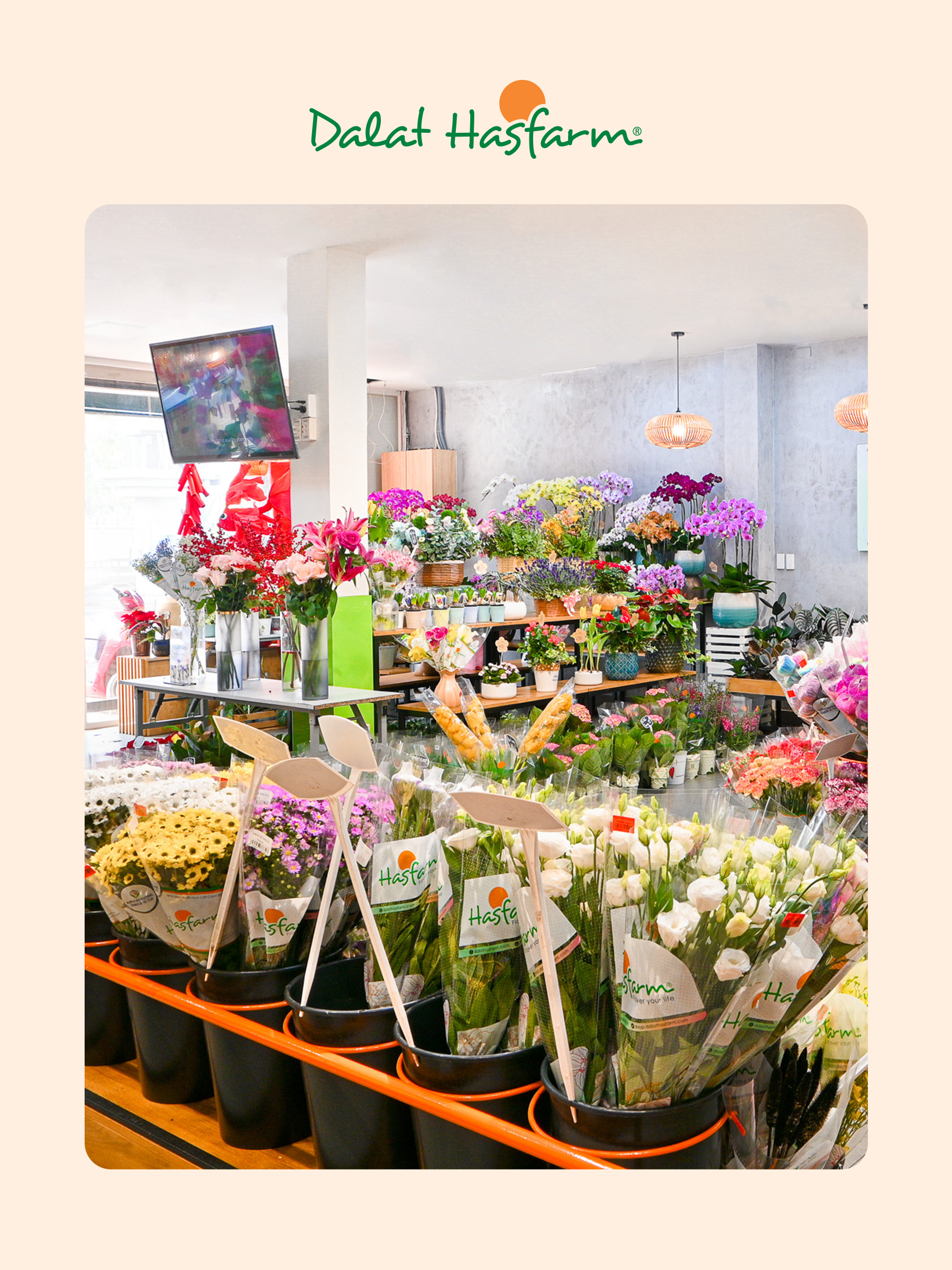 Shop hoa tươi Dalat Hasfarm Bình Thạnh_Mobile NTL