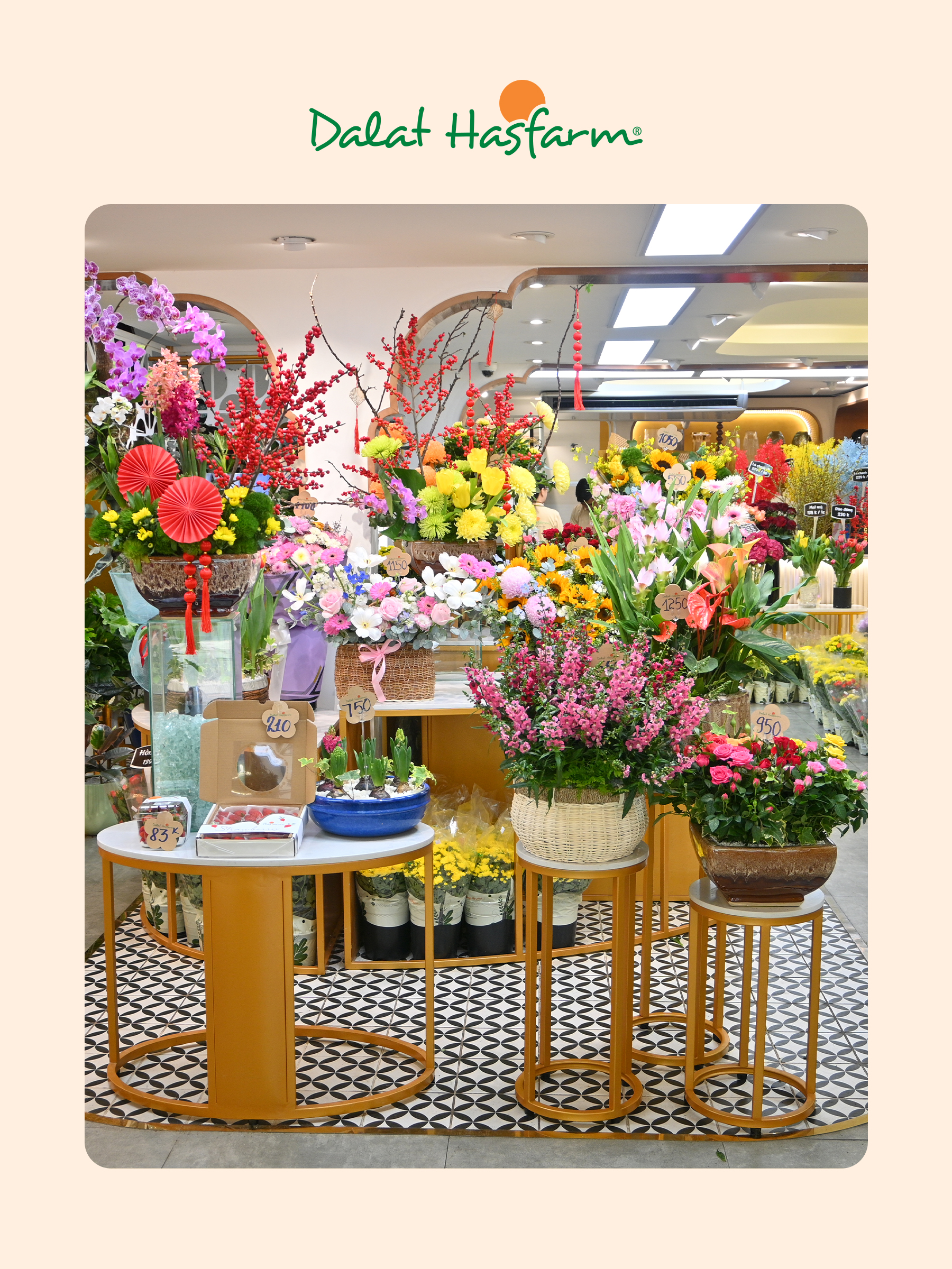 Shop hoa tươi Dalat Hasfarm Nguyễn Thiện Thuật Quận 3_Mobile