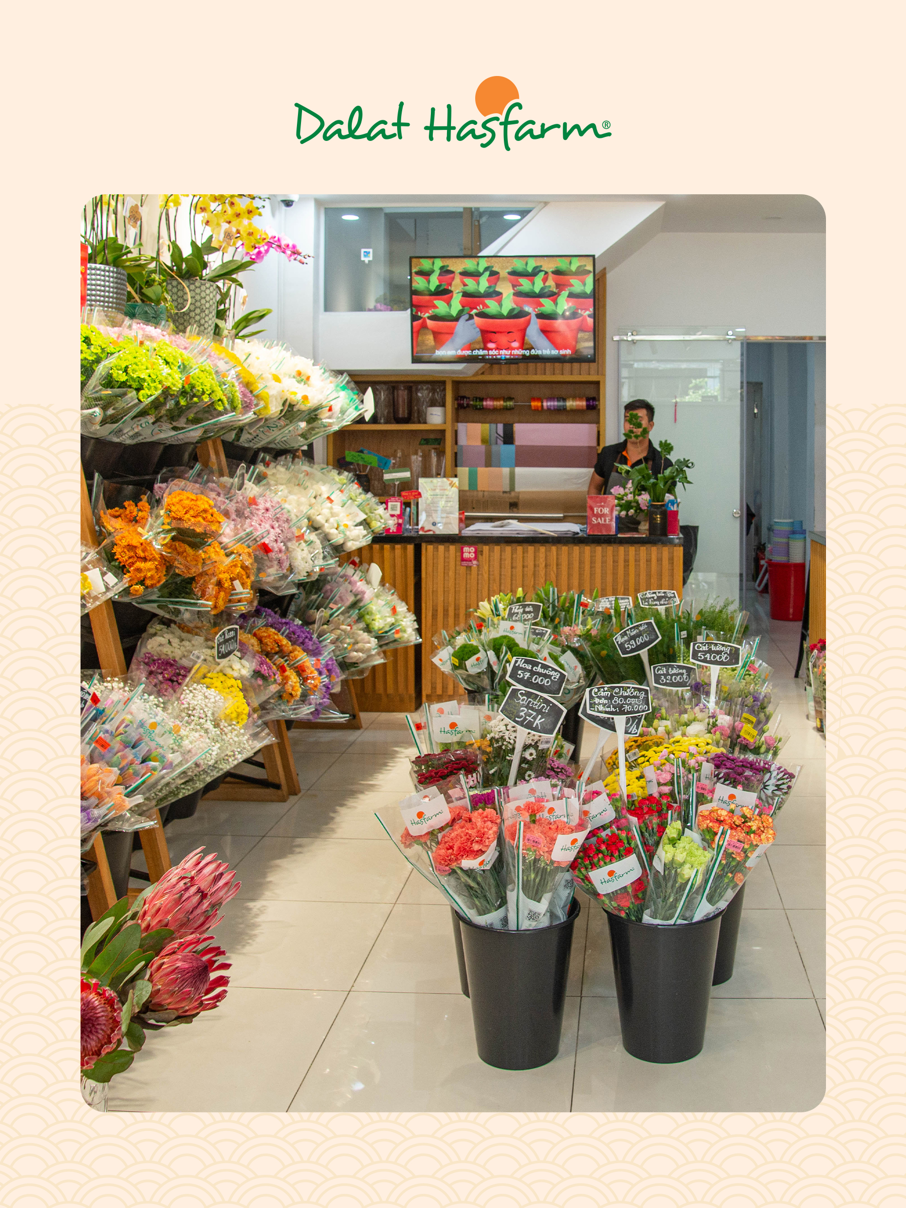 Shop hoa tươi Dalat Hasfarm Quận 1_Mobile
