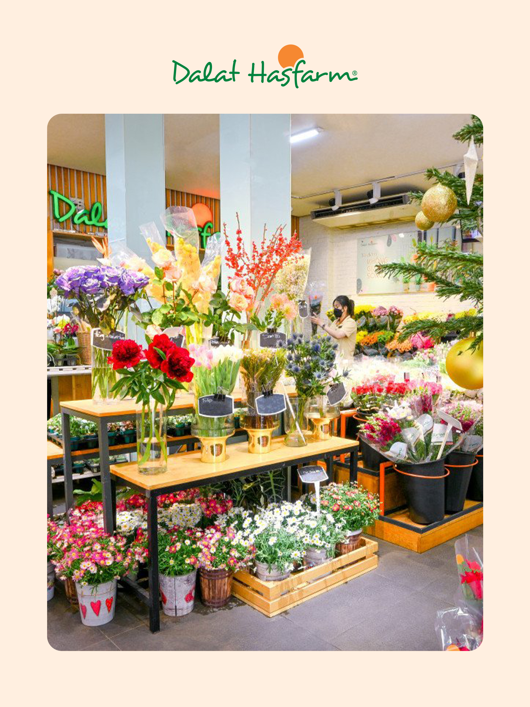 Shop hoa tươi Dalat Hasfarm Tân Bình_Mobile