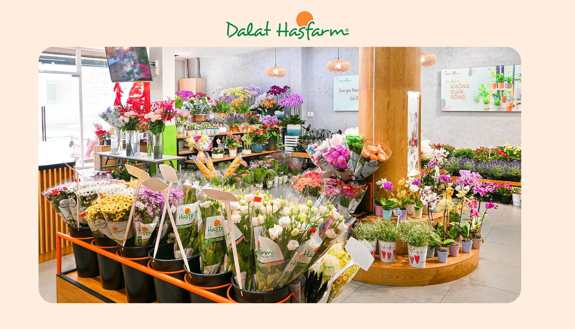 Shop hoa tươi Dalat Hasfarm Bình Thạnh