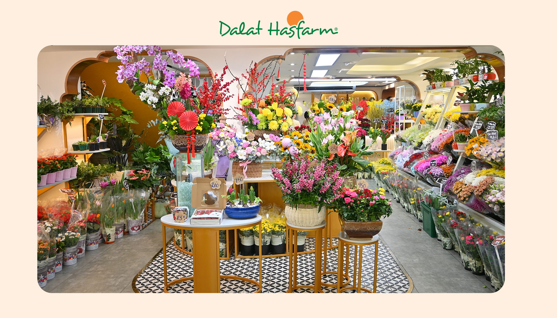 Shop hoa tươi Dalat Hasfarm Nguyễn Thiện Thuật Quận 3