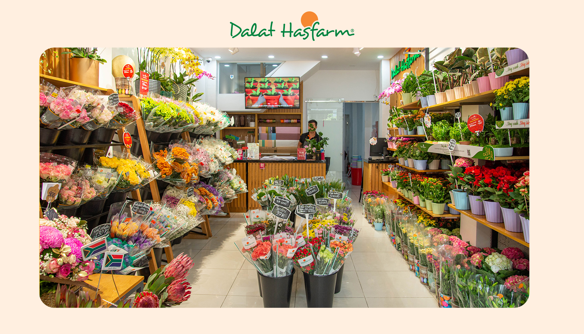 Shop hoa tươi Dalat Hasfarm Quận 1
