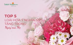 Top 5 loài hoa ý nghĩa nên tặng trong Ngày của Mẹ