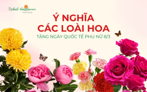 6 Loài hoa ý nghĩa dành tặng ngày Quốc tế Phụ nữ 8/3