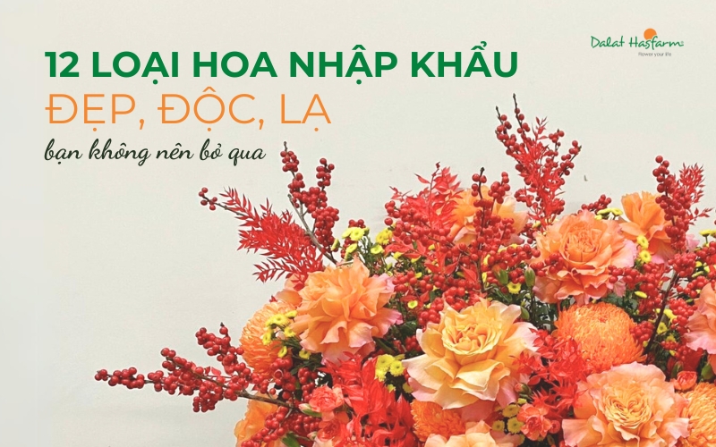 12 Loại hoa nhập khẩu đẹp, độc, lạ