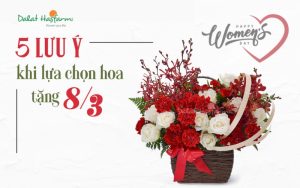 5 Lưu ý khi lựa chọn hoa tặng ngày Quốc tế Phụ nữ 8-3
