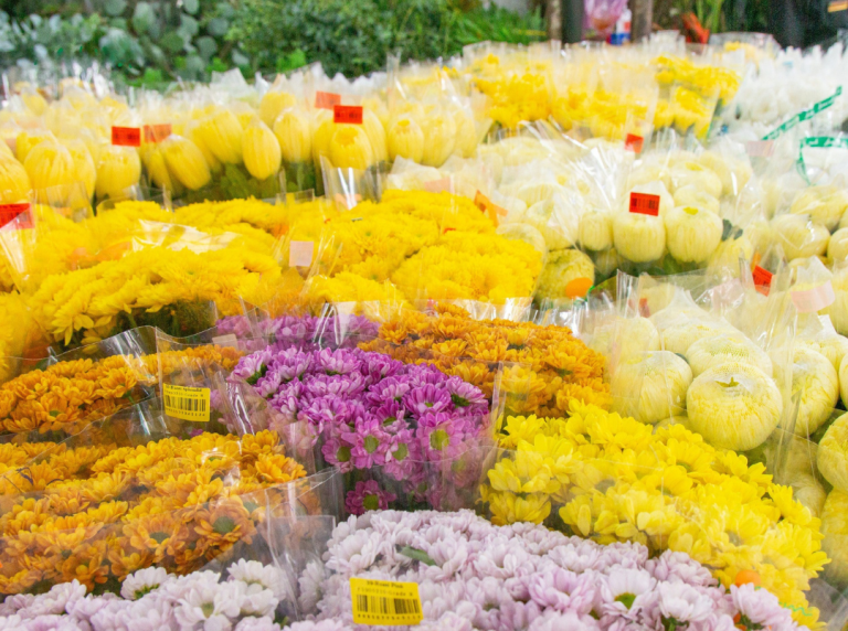 Nhập hoa sỉ