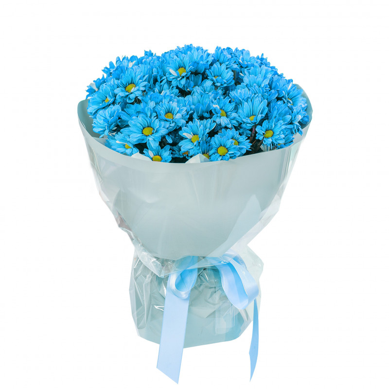 Bó Hoa Nắng Ấm Dịu Dàng 457 - Hoa Cúc nhánh màu xanh dương
