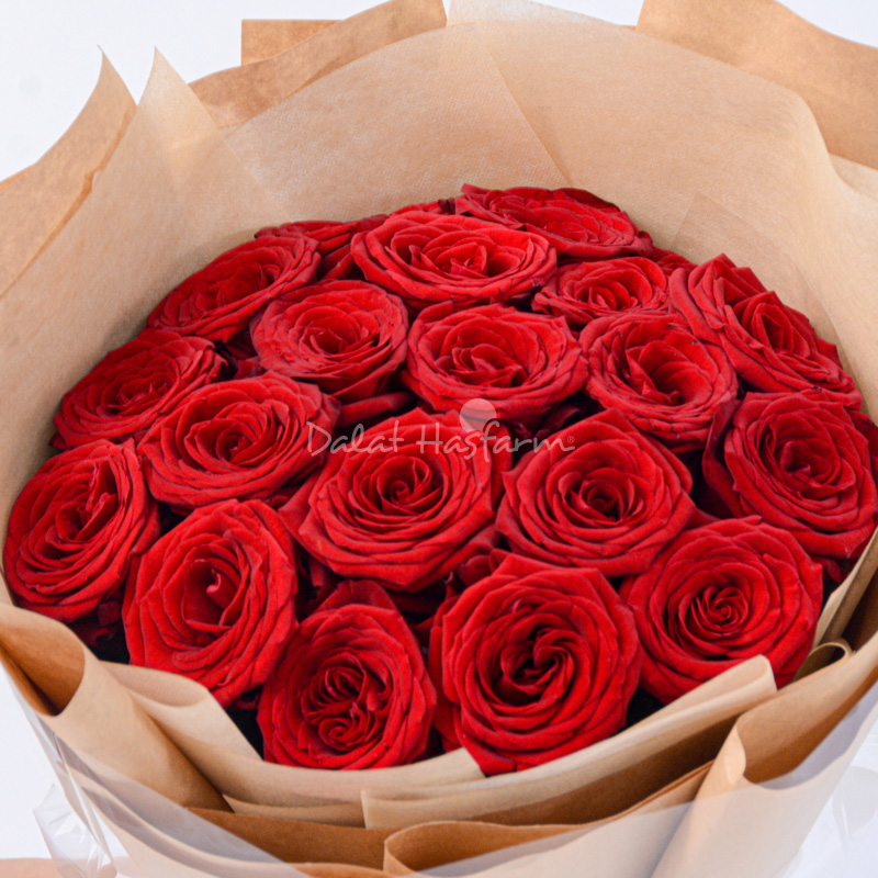 Bó Hoa Yêu Thương Đong Đầy 277 - Bó hoa hồng 20 cành