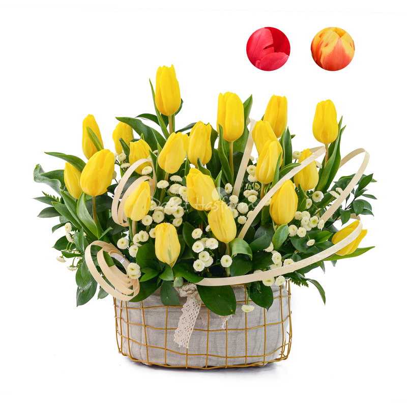 Giỏ Hoa Tulip 284