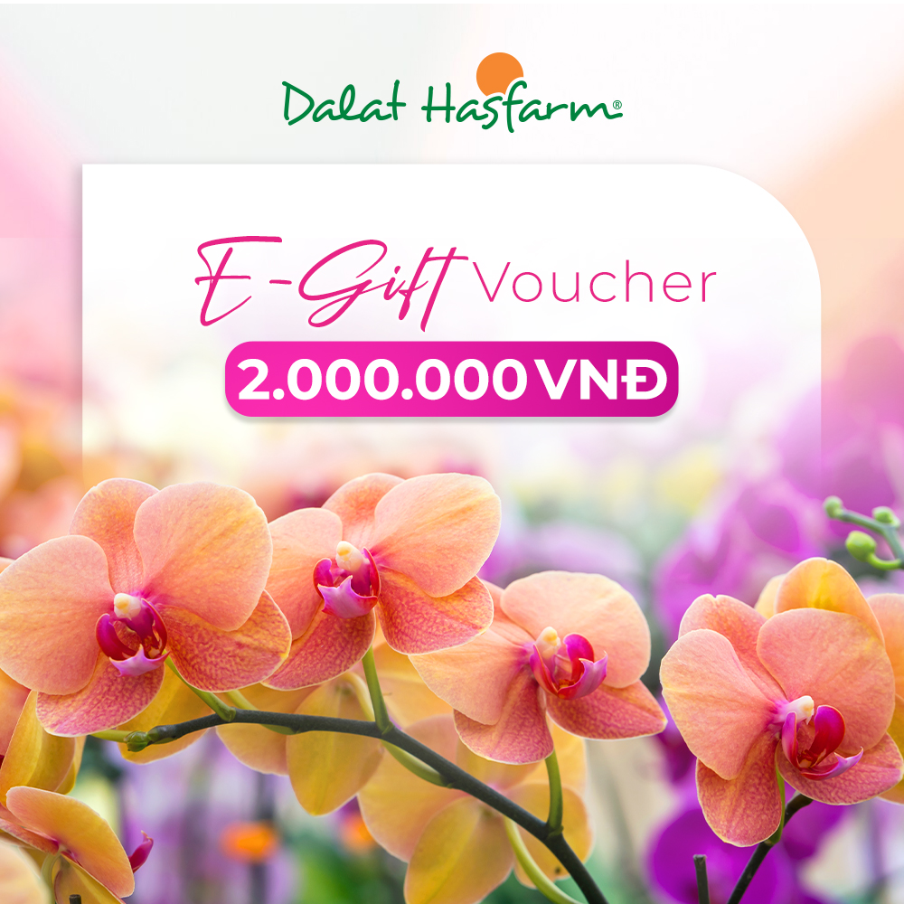 Phiếu quà tặng điện tử Dalat Hasfarm 2.000.000đ