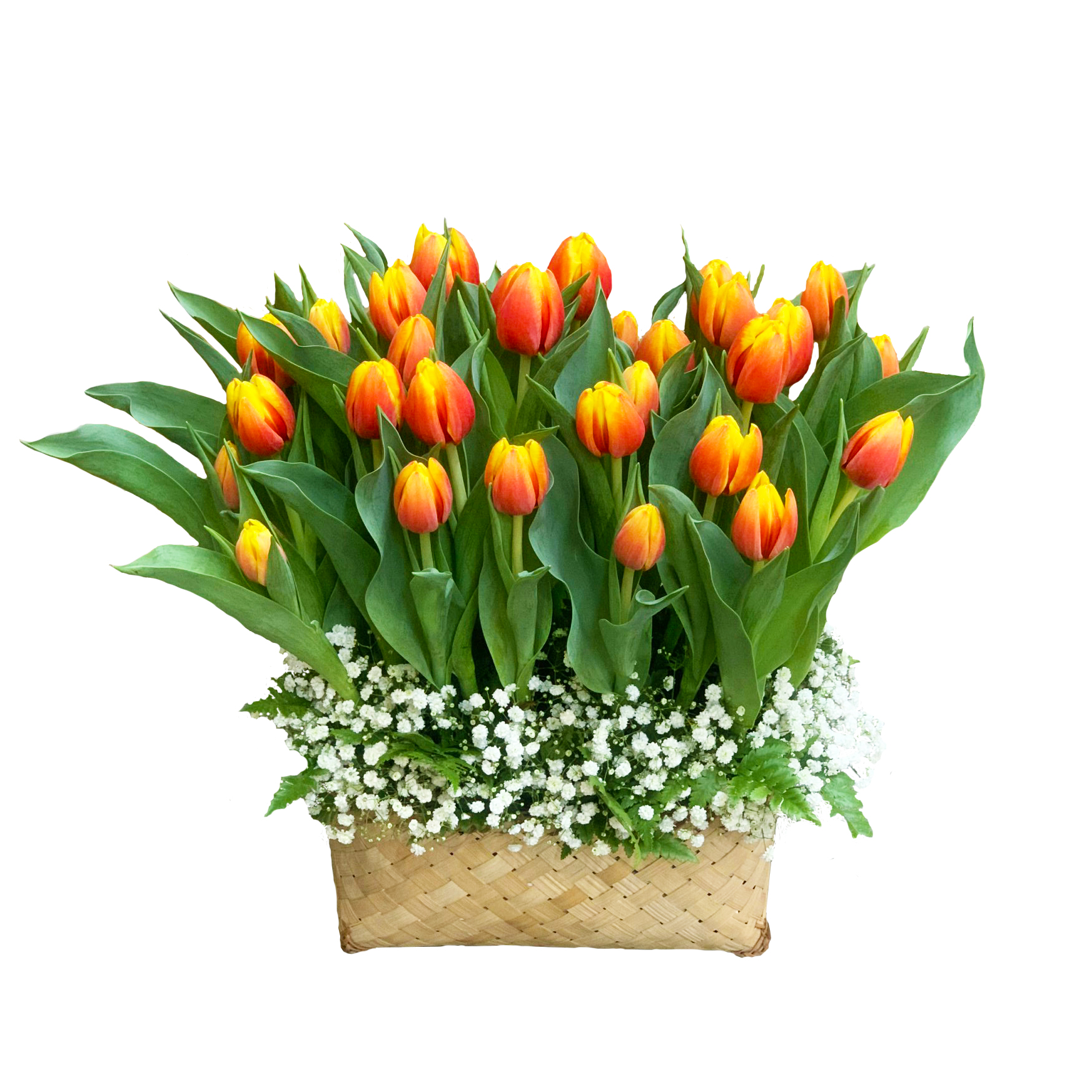 Giỏ Hoa Tulip 023