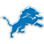 Detroit Lions