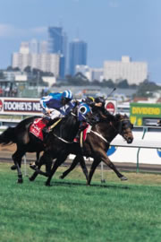 Melbourne Spring Racing Carnival