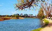 albert park lake