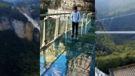 User Submitted Image