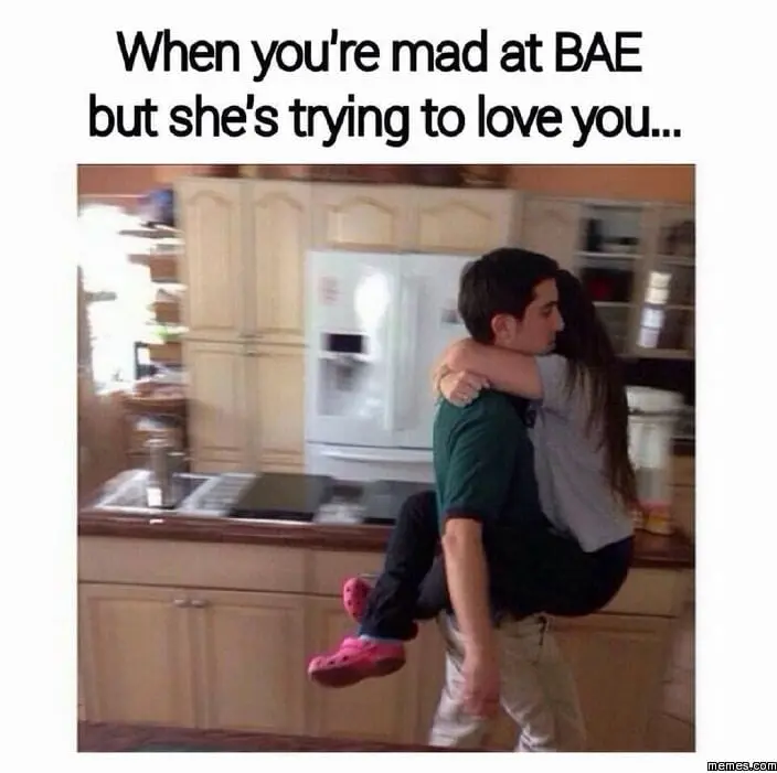 User Submitted Image