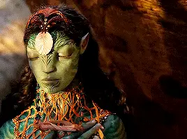 User Submitted Image