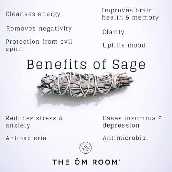 User Submitted Image