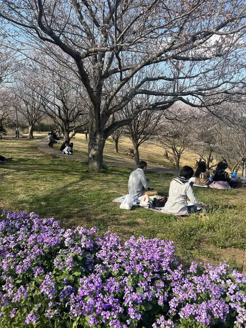 User Submitted Image