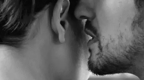 User Submitted Image