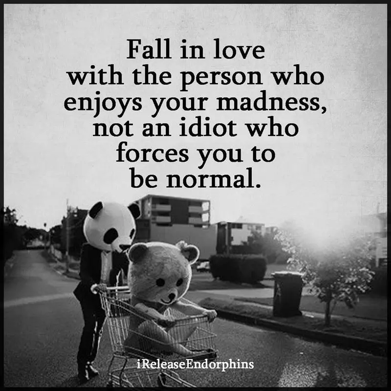 User Submitted Image