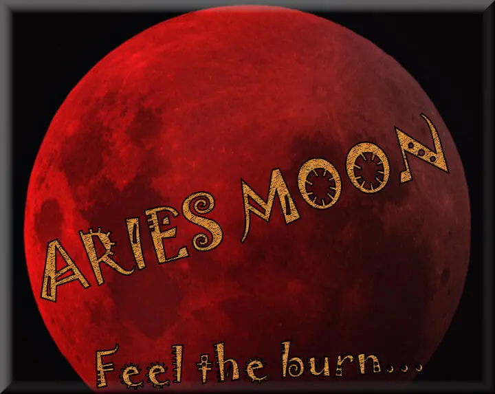 User Submitted Image