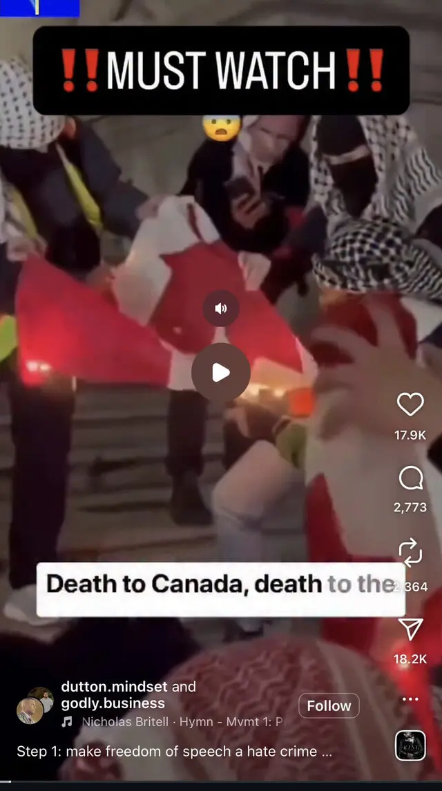 User Submitted Image