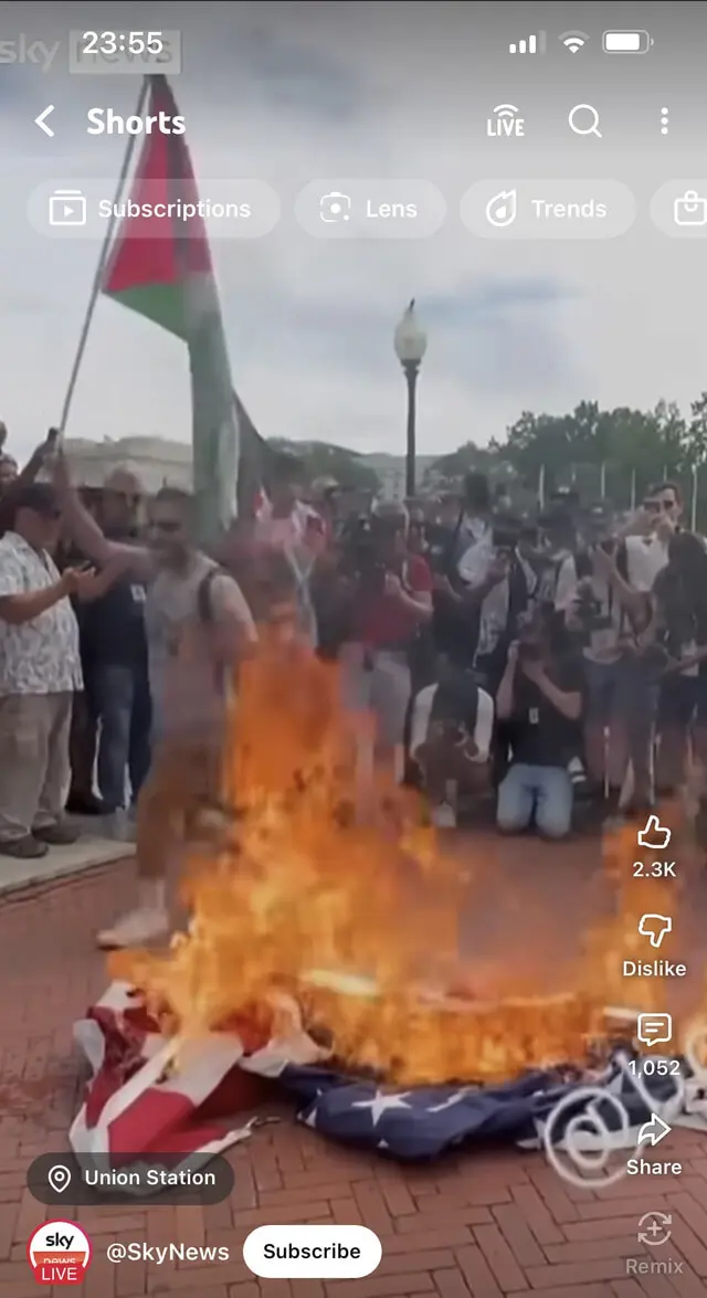 User Submitted Image