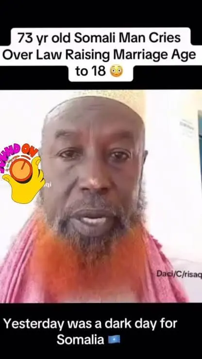 User Submitted Image