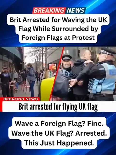 User Submitted Image