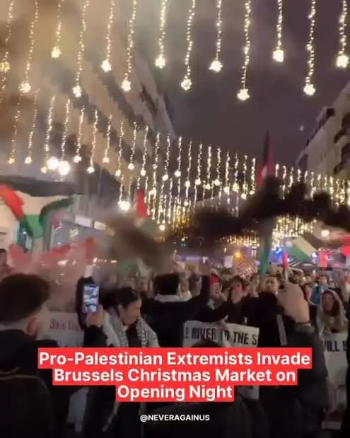 User Submitted Image