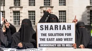 User Submitted Image