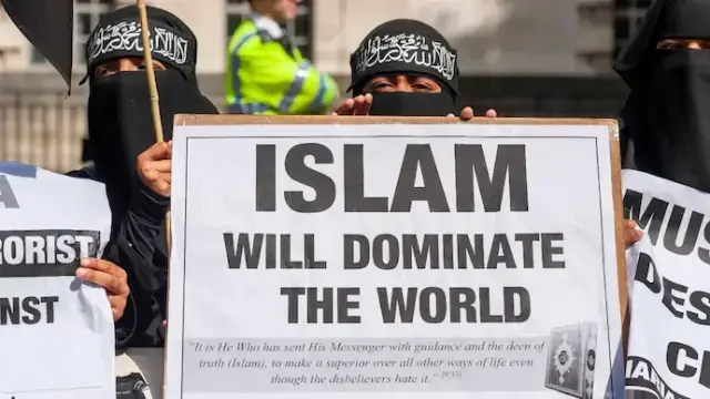 User Submitted Image