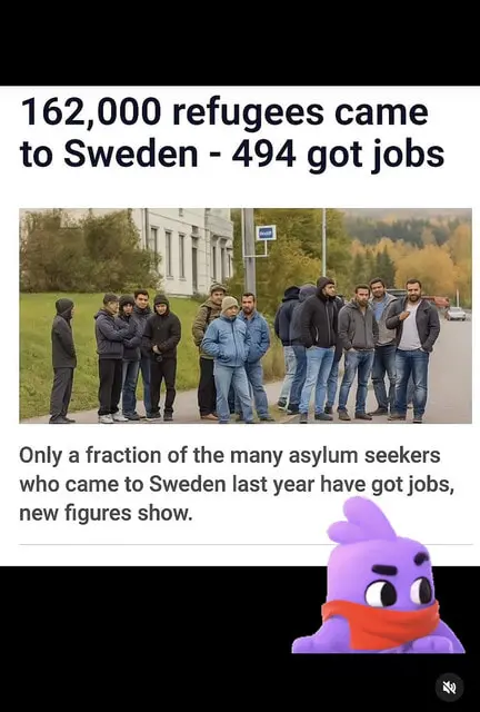 User Submitted Image