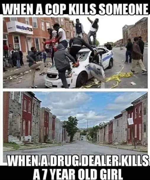 User Submitted Image