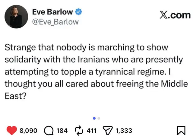 User Submitted Image