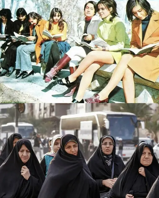 User Submitted Image