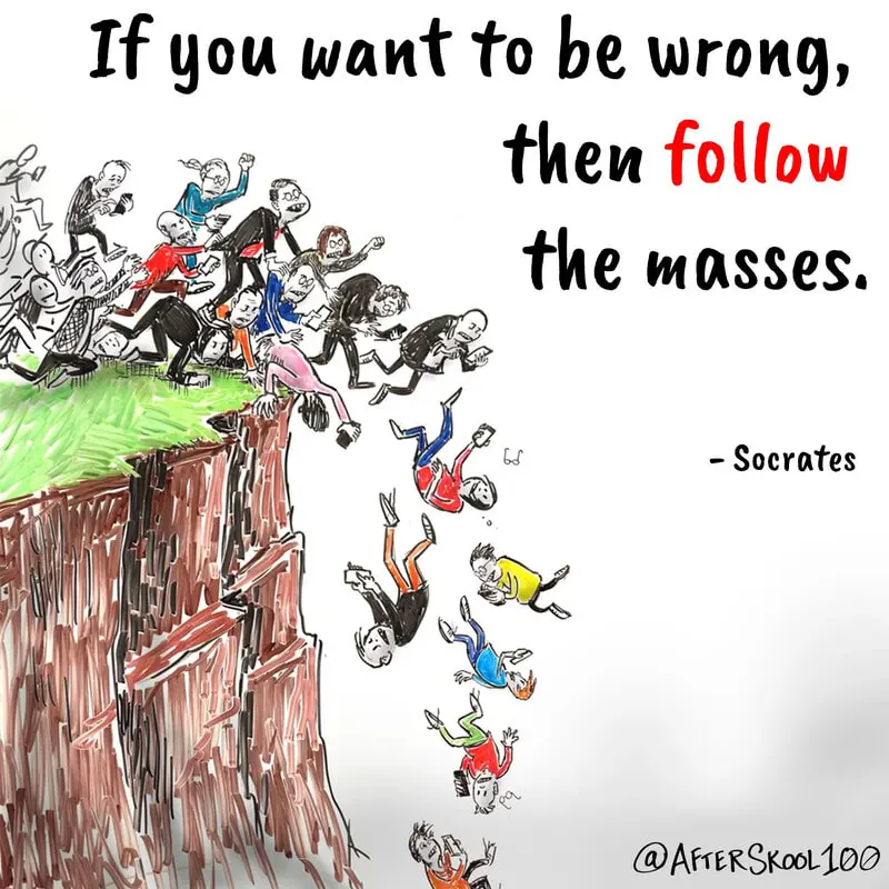 User Submitted Image